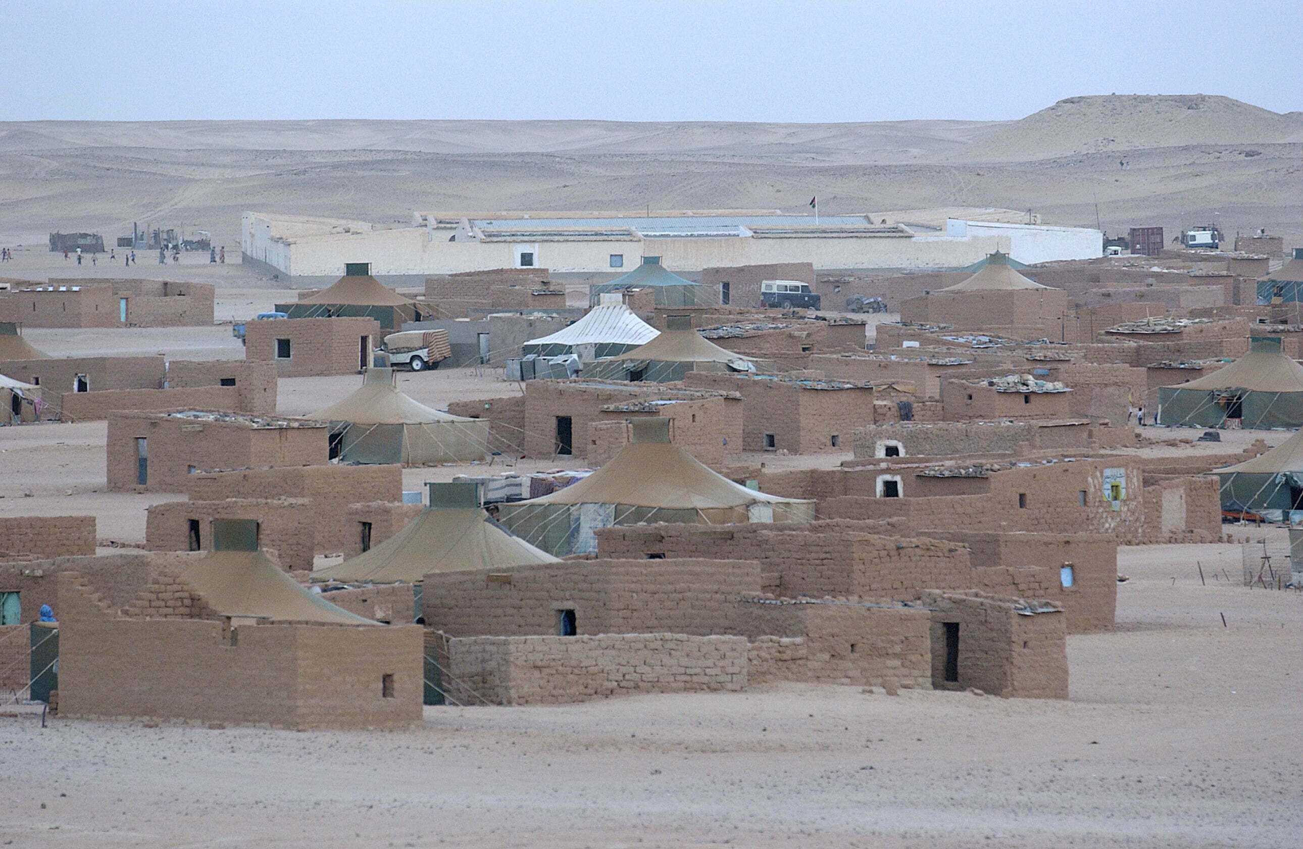Landscape of Western Sahara
