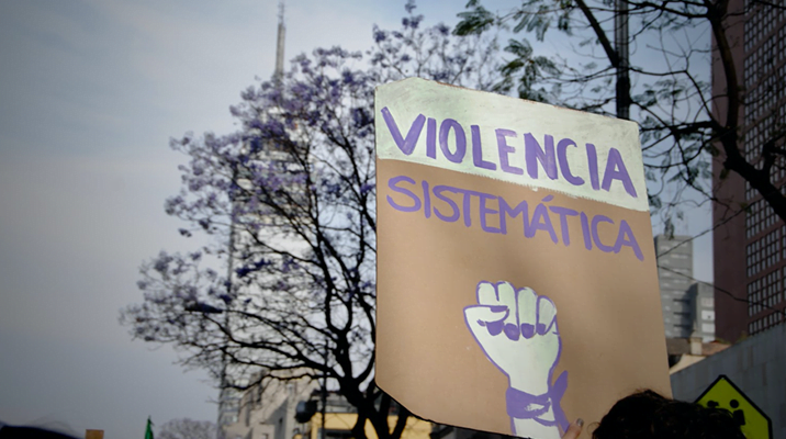 "Violencia sistemática" sign