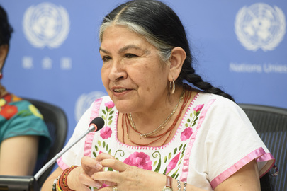 A woman with braided hair, wearing a white blouse with floral embroidery, speaks into a microphone at a conference. She is in front of a blue backdrop featuring the United Nations logo.
